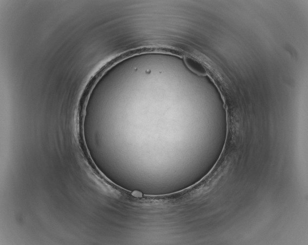 X0000112861076200908281559