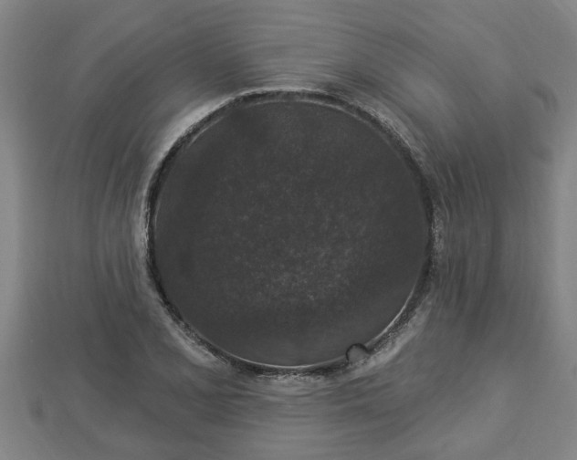 X0000112861077200908281559