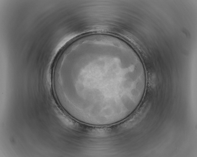 X0000112861078200908281559