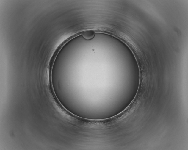 X0000112861079200908281559