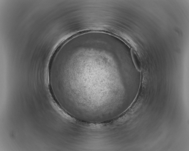 X0000112861080200908281559