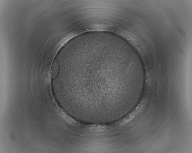 X0000112861081200908281559