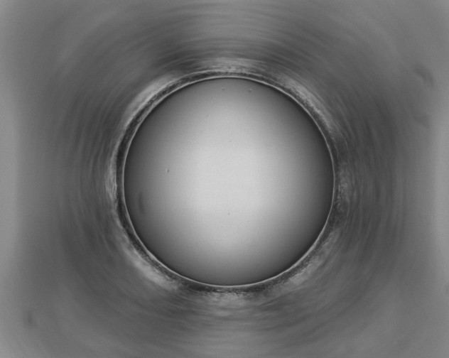 X0000112861082200908281559