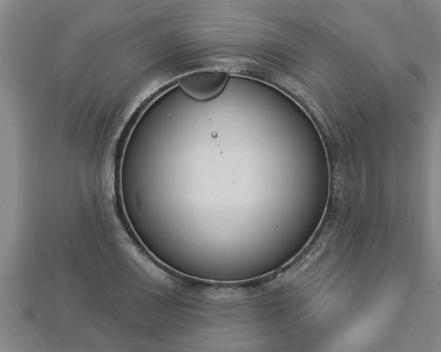 X0000112861083200908281559