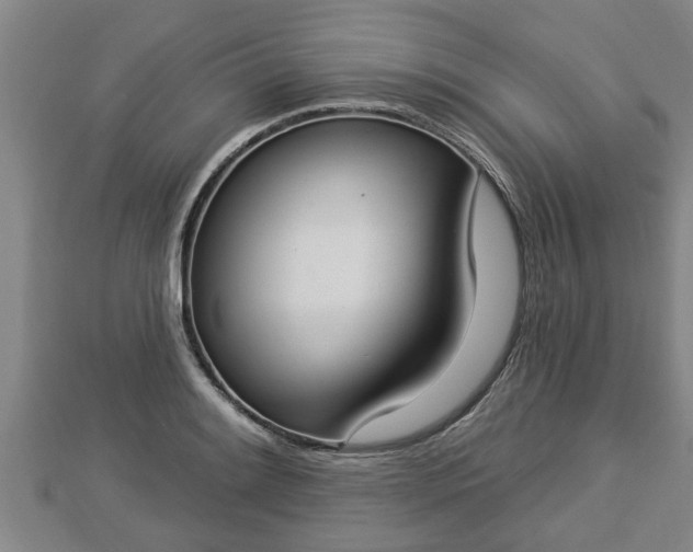 X0000112861084200908281559