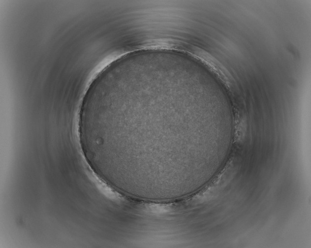 X0000112861086200908281558