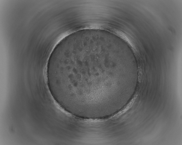 X0000112861087200908281558