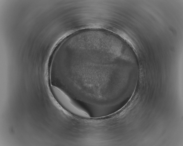 X0000112861088200908281558