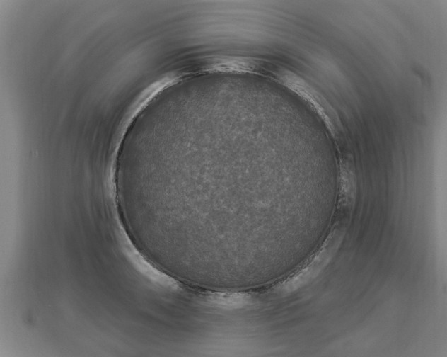 X0000112861090200908281558