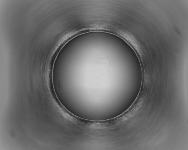 X0000112861093200908281558