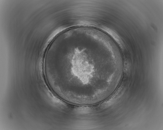 X0000112861094200908281558