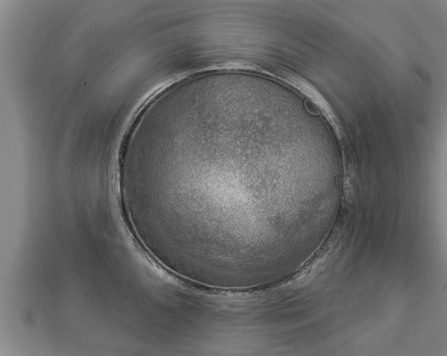 X0000112861096200908281558