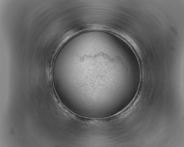 X0000112861097200908281558