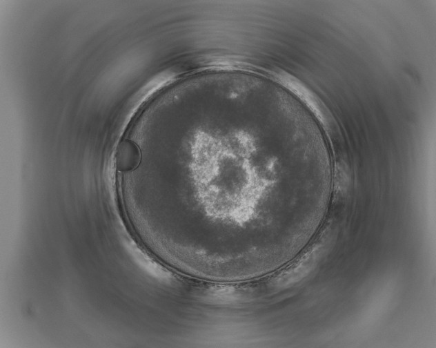 X0000112861098200908281558