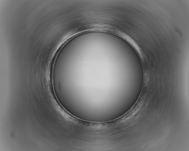 X0000112861099200908281558