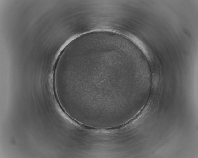 X0000112861100200908281558