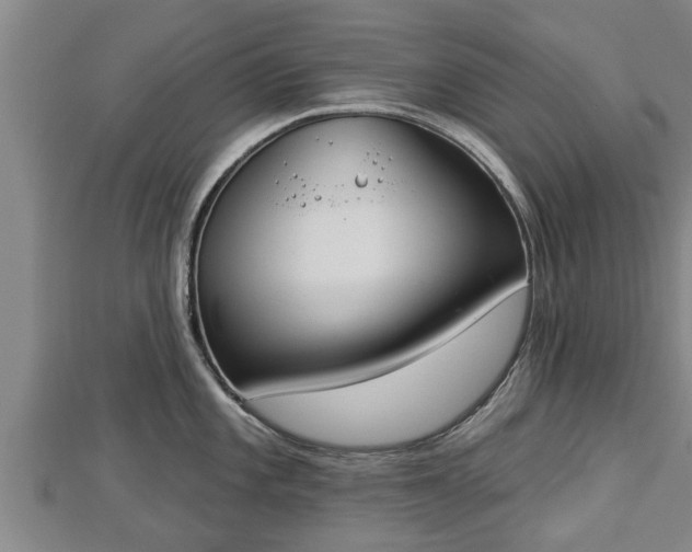 X0000112861101200908281558