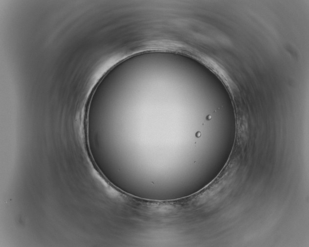 X0000112861103200908281558
