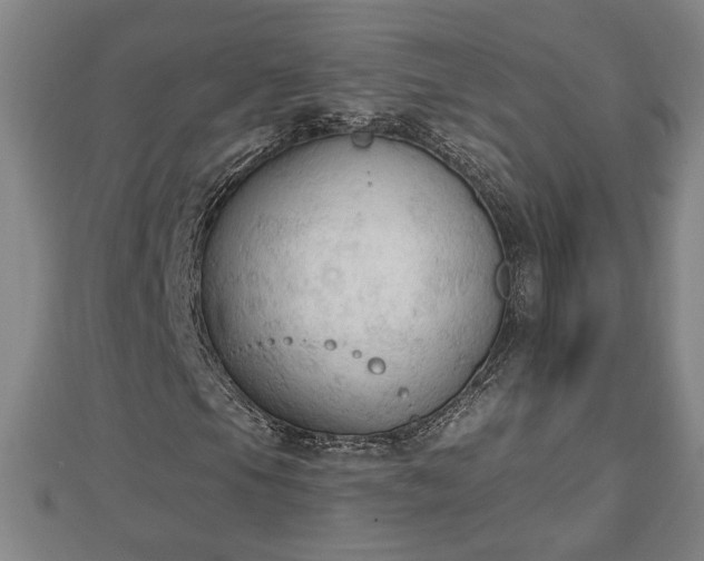 X0000112861105200908281557