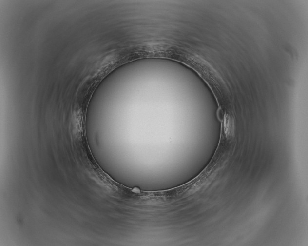 X0000112861107200908281557