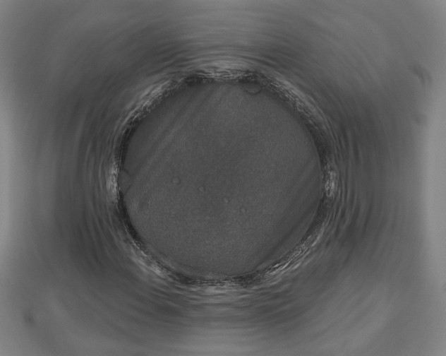 X0000112861108200908281558