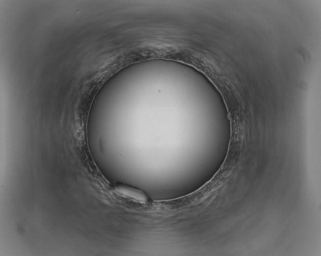 X0000112861109200908281558