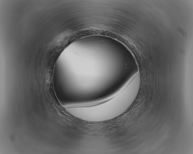 X0000112861110200908281558