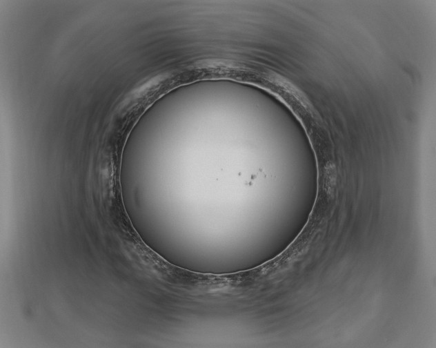 X0000112861111200908281558