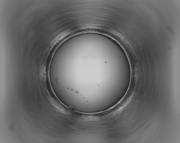 X0000112861113200908281558