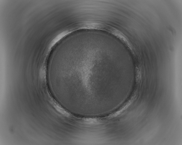 X0000112861114200908281558