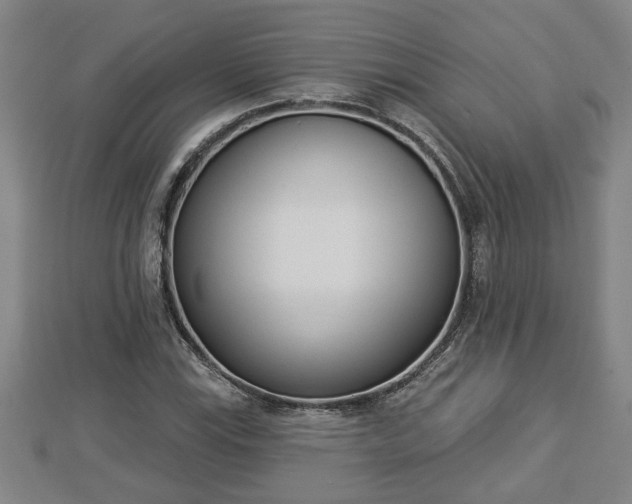 X0000112861115200908281558