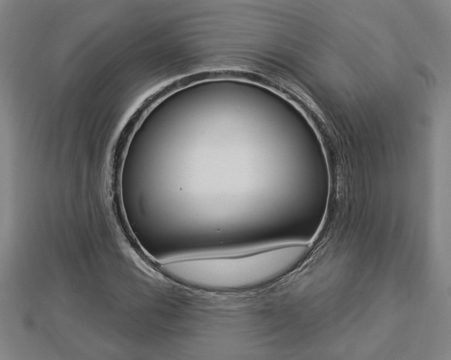 X0000112861116200908281558