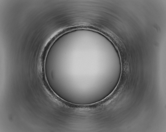 X0000112861118200908281558