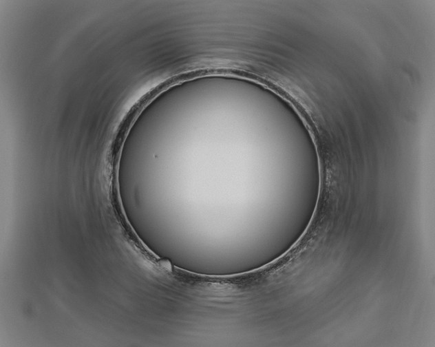 X0000112861119200908281558