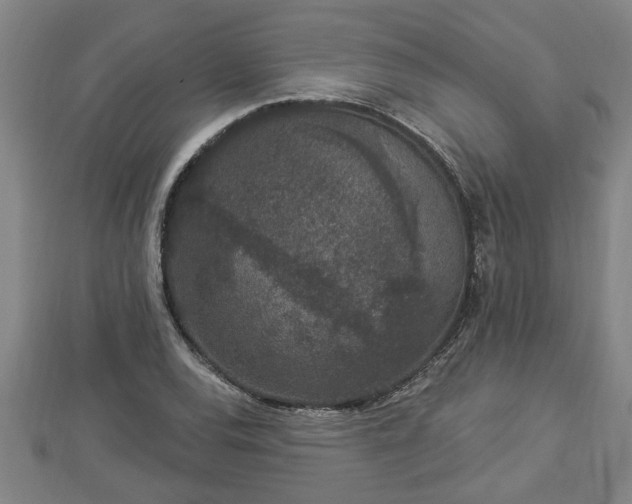 X0000112861120200908281558