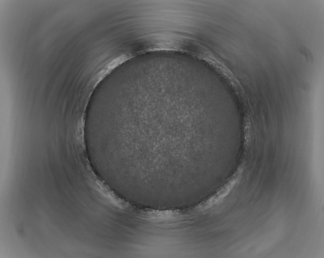 X0000112861121200908281558