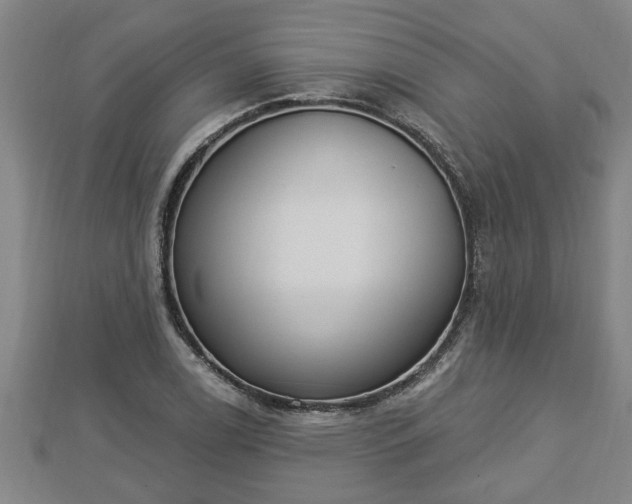 X0000112861122200908281558