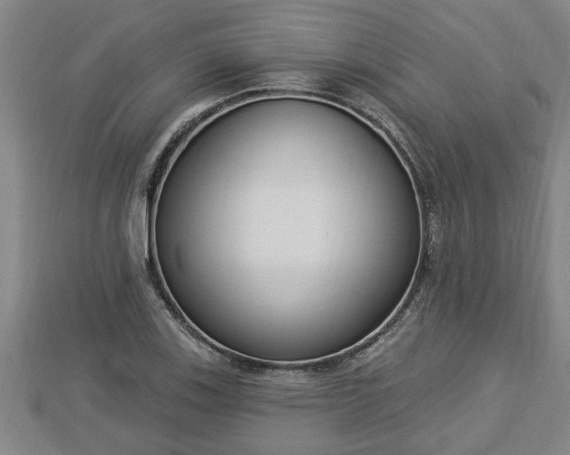 X0000112861123200908281558