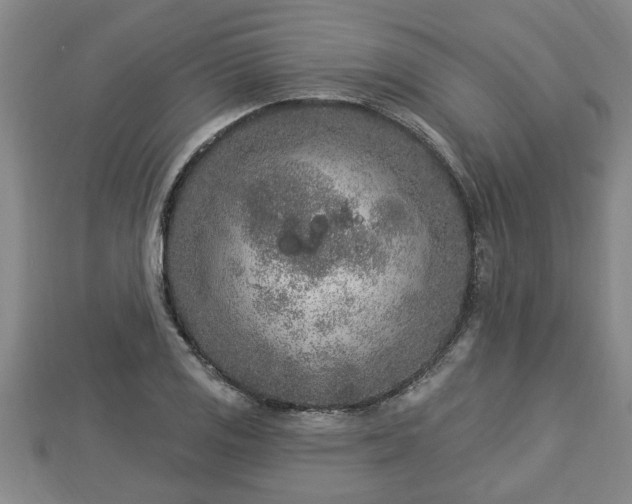 X0000112861125200908281558