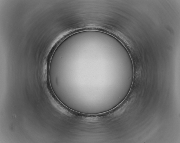 X0000112861126200908281558