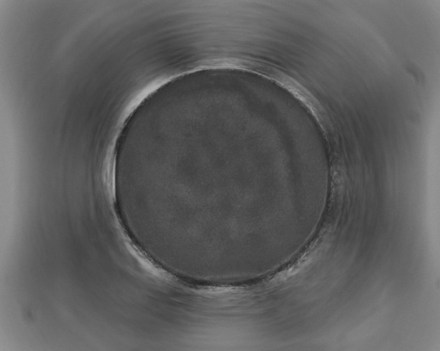 X0000112861127200908281558