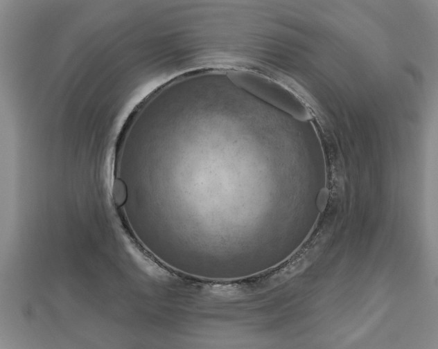 X0000112861128200908281558