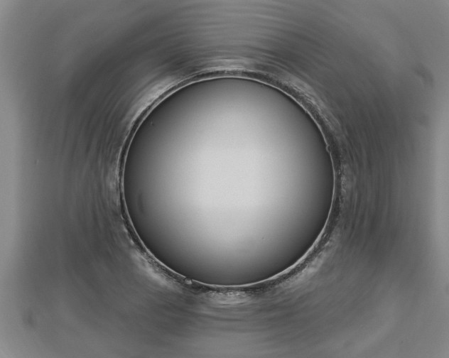 X0000112861129200908281558
