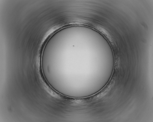 X0000112861130200908281558