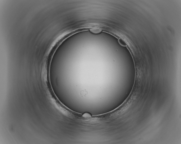 X0000112861131200908281558