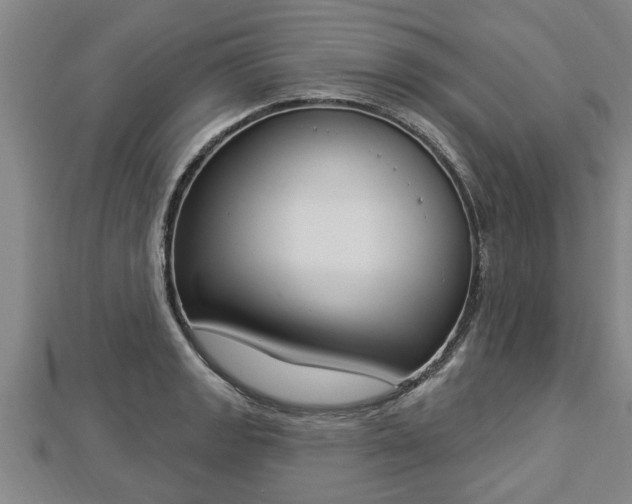 X0000112861133200908281558