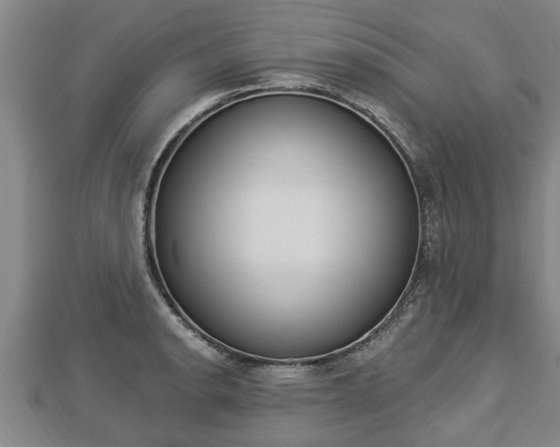 X0000112861134200908281558