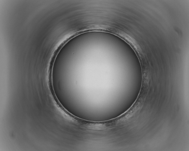 X0000112861135200908281558
