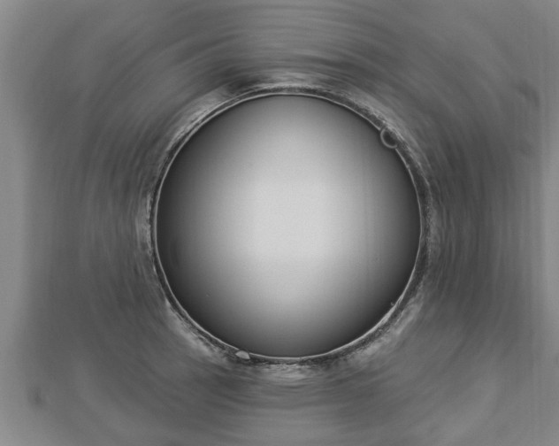 X0000112861137200908281558