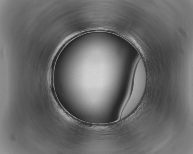 X0000112861140200908281558